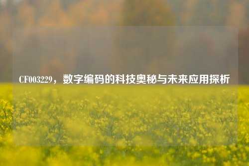 CF003229，数字编码的科技奥秘与未来应用探析