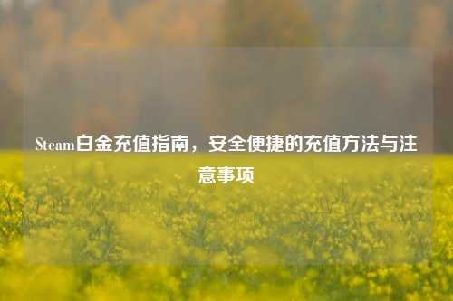 Steam白金充值指南，安全便捷的充值方法与注意事项