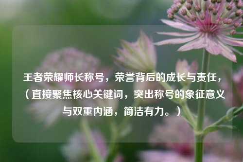 王者荣耀师长称号，荣誉背后的成长与责任，（直接聚焦核心关键词，突出称号的象征意义与双重内涵，简洁有力。）