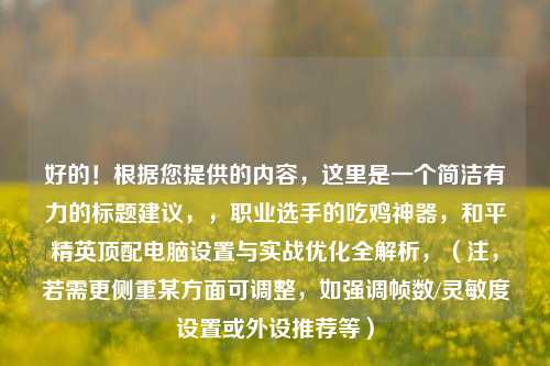 好的！根据您提供的内容，这里是一个简洁有力的标题建议，，职业选手的吃鸡神器，和平精英顶配电脑设置与实战优化全解析，（注，若需更侧重某方面可调整，如强调帧数/灵敏度设置或外设推荐等）