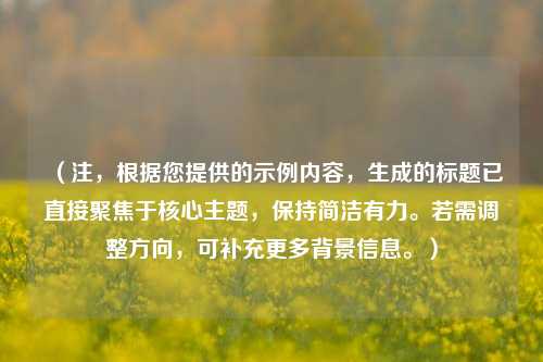 （注，根据您提供的示例内容，生成的标题已直接聚焦于核心主题，保持简洁有力。若需调整方向，可补充更多背景信息。）