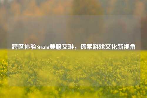 跨区体验Steam美服艾琳，探索游戏文化新视角