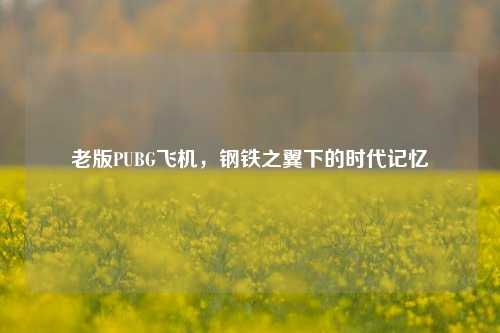 老版PUBG飞机，钢铁之翼下的时代记忆
