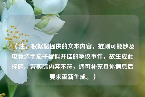 （注，根据您提供的文本内容，推测可能涉及电竞选手茄子疑似开挂的争议事件，故生成此标题。若实际内容不符，您可补充具体信息后要求重新生成。）