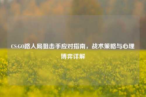 CS:GO路人局狙击手应对指南，战术策略与心理博弈详解