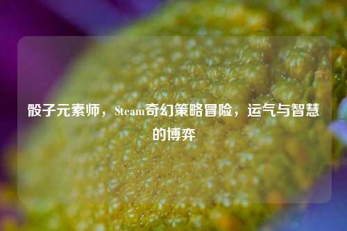 骰子元素师，Steam奇幻策略冒险，运气与智慧的博弈