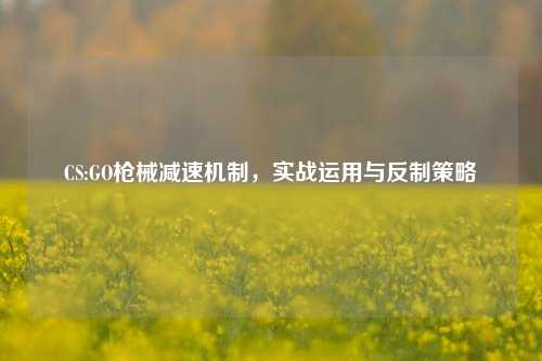 CS:GO枪械减速机制,实战运用与反制策略