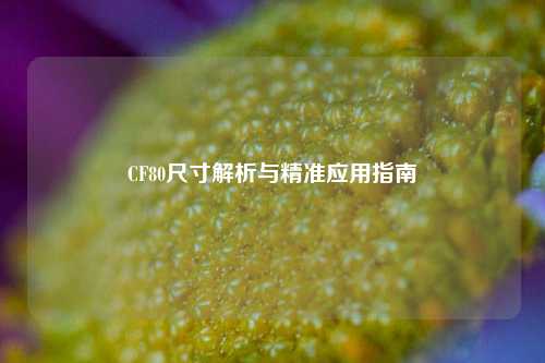 CF80尺寸解析与精准应用指南