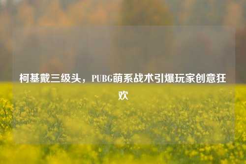 柯基戴三级头，PUBG萌系战术引爆玩家创意狂欢