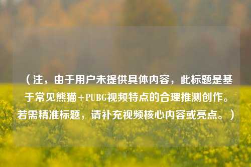 (注,由于用户未提供具体内容,此标题是基于常见熊猫+PUBG视频特点的合理推测创作。若需精准标题,请补充视频核心内容或亮点。)