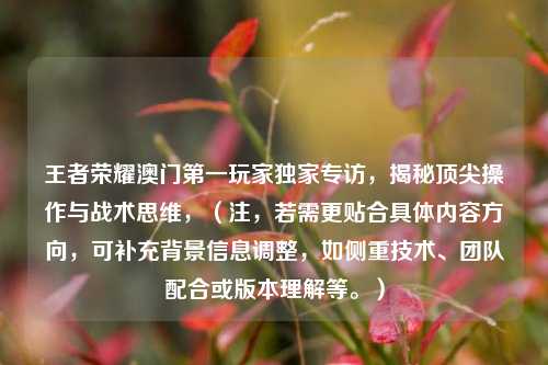 王者荣耀澳门第一玩家独家专访,揭秘顶尖操作与战术思维,(注,若需更贴合具体内容方向,可补充背景信息调整,如侧重技术、团队配合或版本理解等。)