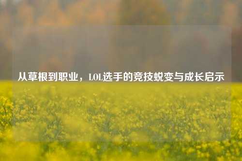 从草根到职业,LOL选手的竞技蜕变与成长启示