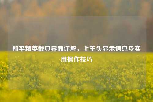 和平精英载具界面详解，上车头显示信息及实用操作技巧