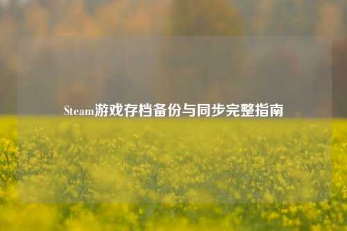 Steam游戏存档备份与同步完整指南