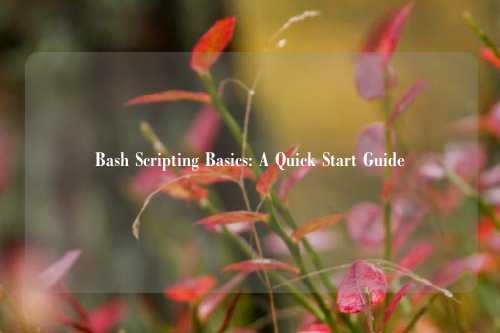 Bash Scripting Basics: A Quick Start Guide
