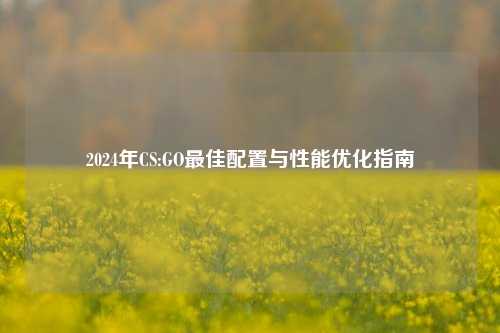 2024年CS:GO最佳配置与性能优化指南