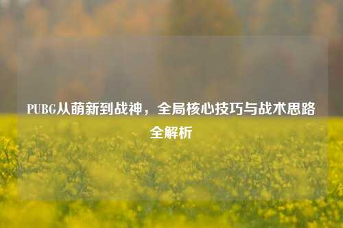PUBG从萌新到战神，全局核心技巧与战术思路全解析