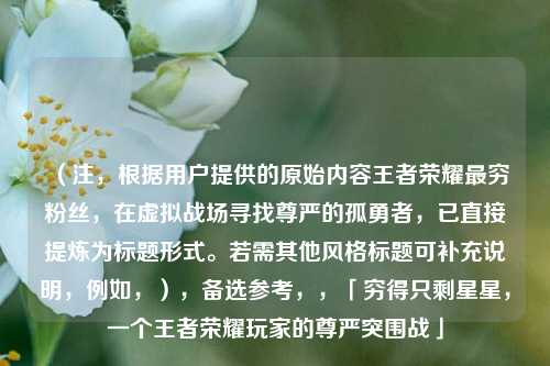 （注，根据用户提供的原始内容王者荣耀最穷粉丝，在虚拟战场寻找尊严的孤勇者，已直接提炼为标题形式。若需其他风格标题可补充说明，例如，），备选参考，，「穷得只剩星星，一个王者荣耀玩家的尊严突围战」
