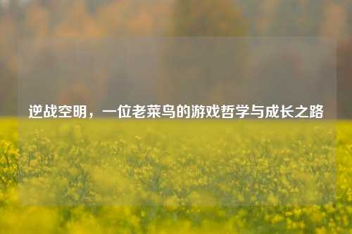 逆战空明,一位老菜鸟的游戏哲学与成长之路