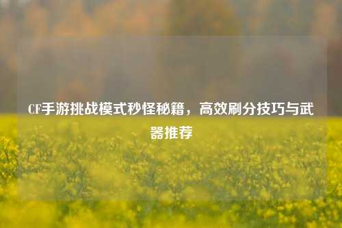 CF手游挑战模式秒怪秘籍，高效刷分技巧与武器推荐
