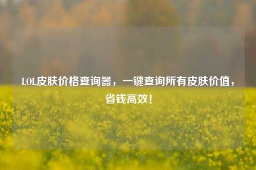 LOL皮肤价格查询器,一键查询所有皮肤价值,省钱高效!