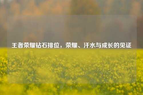 王者荣耀钻石排位，荣耀、汗水与成长的见证