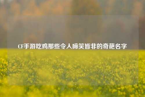 CF手游吃鸡那些令人啼笑皆非的奇葩名字