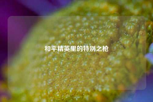 和平精英里的特别之枪