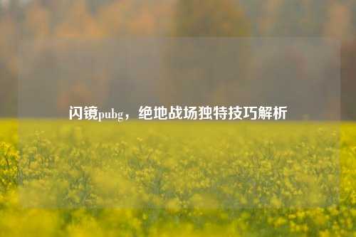 闪镜pubg，绝地战场独特技巧解析