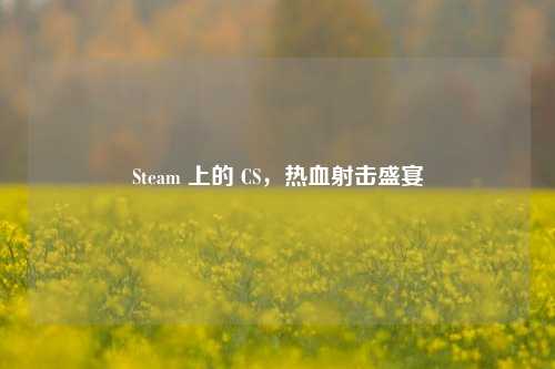 Steam 上的 CS,热血射击盛宴