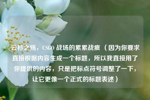 云杉之殇，CSGO 战场的累累战痕 （因为你要求直接根据内容生成一个标题，所以我直接用了你提供的内容，只是把标点符号调整了一下，让它更像一个正式的标题表述）