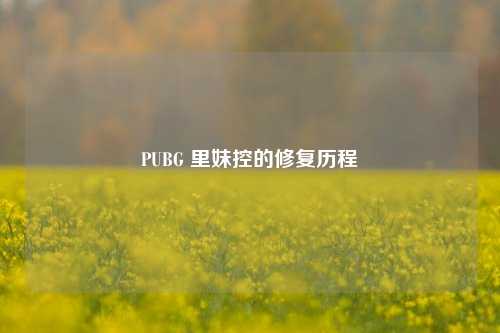 PUBG 里妹控的修复历程