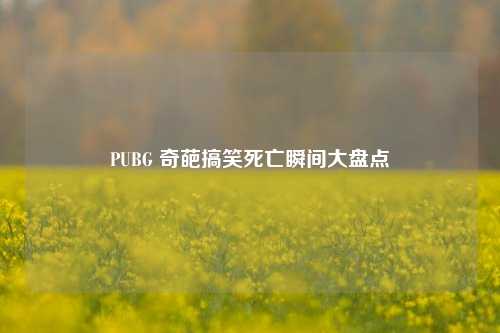 PUBG 奇葩搞笑死亡瞬间大盘点