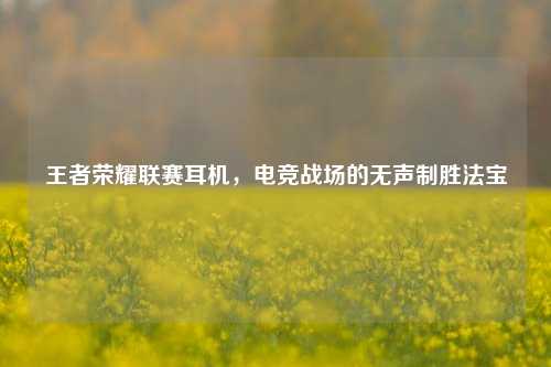 王者荣耀联赛耳机，电竞战场的无声制胜法宝