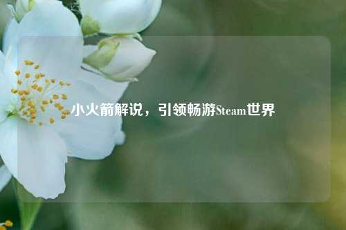 小火箭解说，引领畅游Steam世界