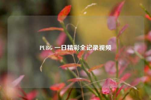 PUBG 一日精彩全记录视频