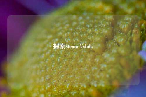 探索Steam Valida