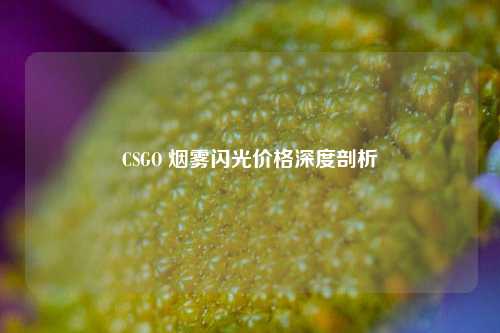 CSGO 烟雾闪光价格深度剖析
