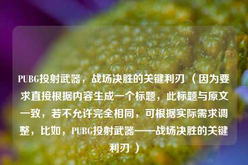 PUBG投射武器,战场决胜的关键利刃 (因为要求直接根据内容生成一个标题,此标题与原文一致,若不允许完全相同,可根据实际需求调整,比如,PUBG投射武器——战场决胜的关键利刃 )
