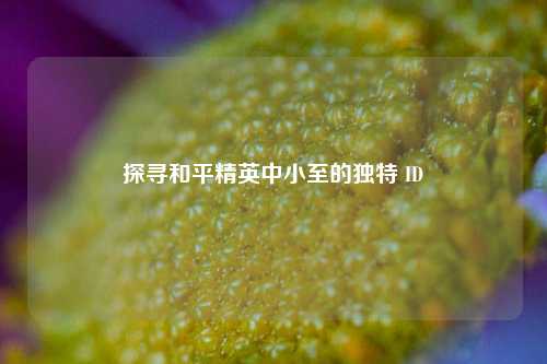 探寻和平精英中小至的独特 ID