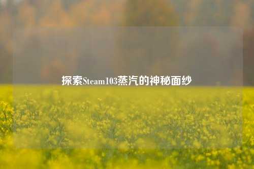 探索Steam103蒸汽的神秘面纱