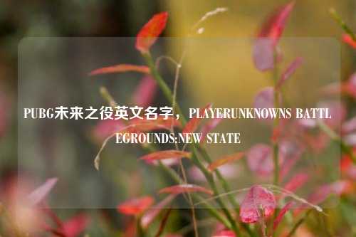 PUBG未来之役英文名字,PLAYERUNKNOWNS BATTLEGROUNDS:NEW STATE
