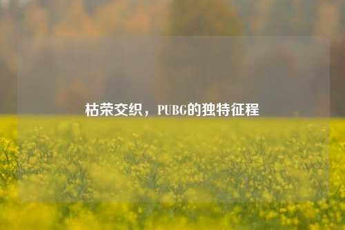 枯荣交织,PUBG的独特征程