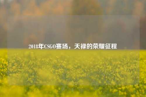 2018年CSGO赛场,天禄的荣耀征程