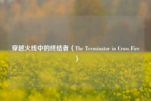 穿越火线中的终结者(The Terminator in Cross Fire)
