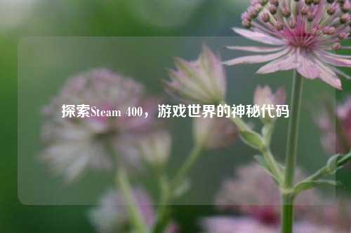 探索Steam 400,游戏世界的神秘代码