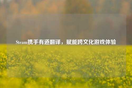 Steam携手有道翻译,赋能跨文化游戏体验