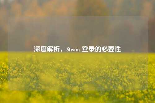 深度解析，Steam 登录的必要性