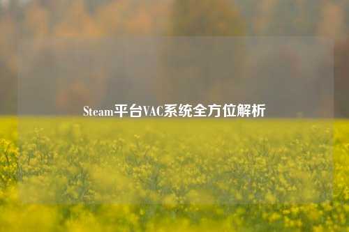 Steam平台VAC系统全方位解析