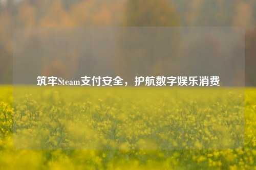 筑牢Steam支付安全,护航数字娱乐消费